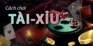 Mẹo chơi tài xỉu trực tuyến