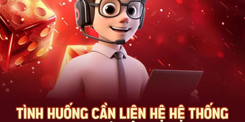 Liên hệ