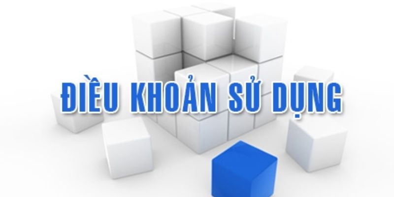 Điều khoản sử dụng